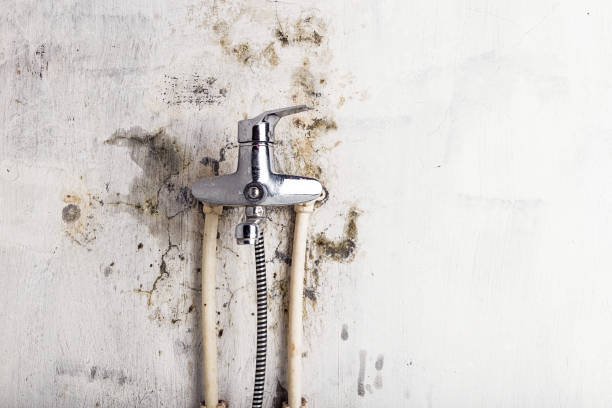 Best Mold Testing  in Atasdero, CA