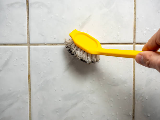 Best Mold Remediation  in Atasdero, CA